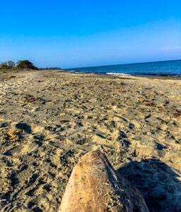 Plage corse